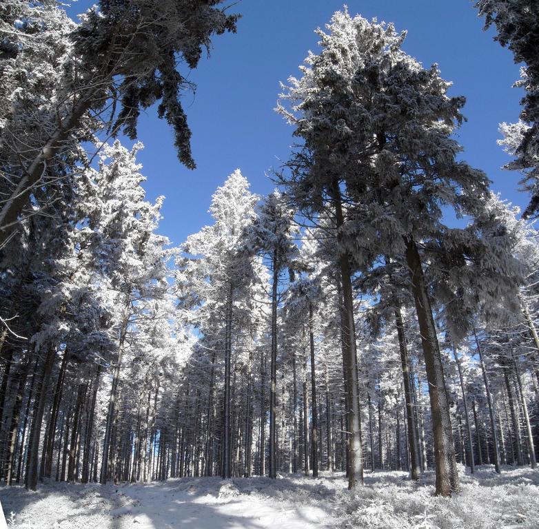 Horská Chata Návrší Staré Mesto Exterior foto