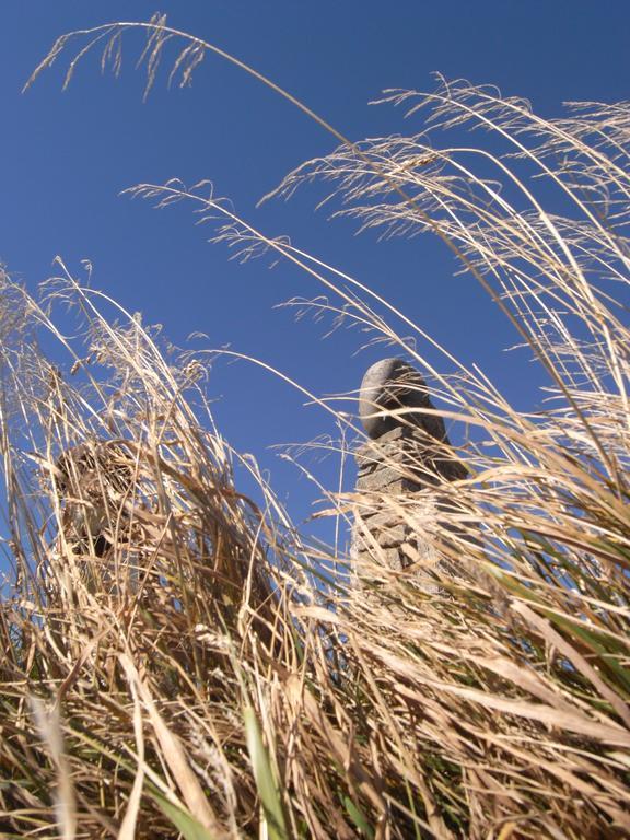 Horská Chata Návrší Staré Mesto Exterior foto