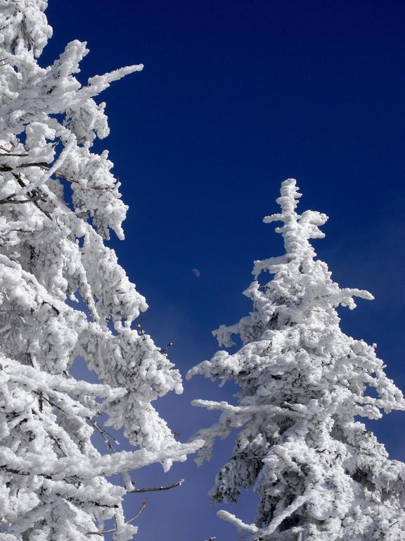 Horská Chata Návrší Staré Mesto Exterior foto