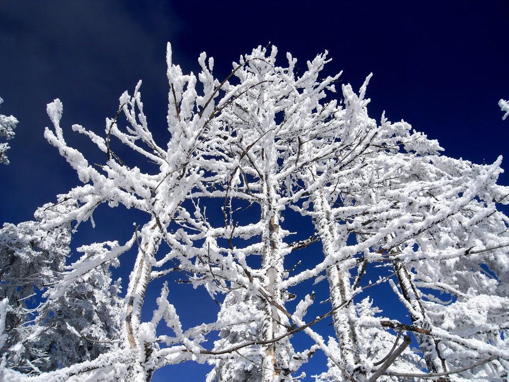 Horská Chata Návrší Staré Mesto Exterior foto
