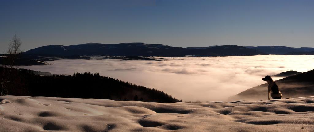 Horská Chata Návrší Staré Mesto Exterior foto