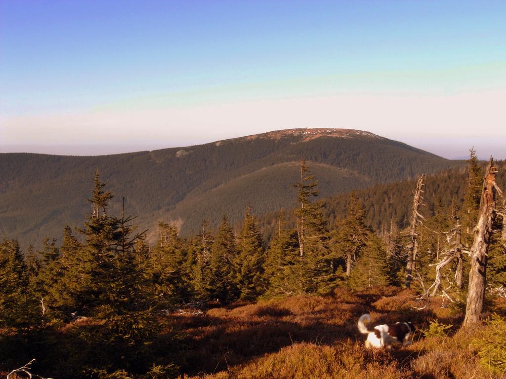 Horská Chata Návrší Staré Mesto Exterior foto